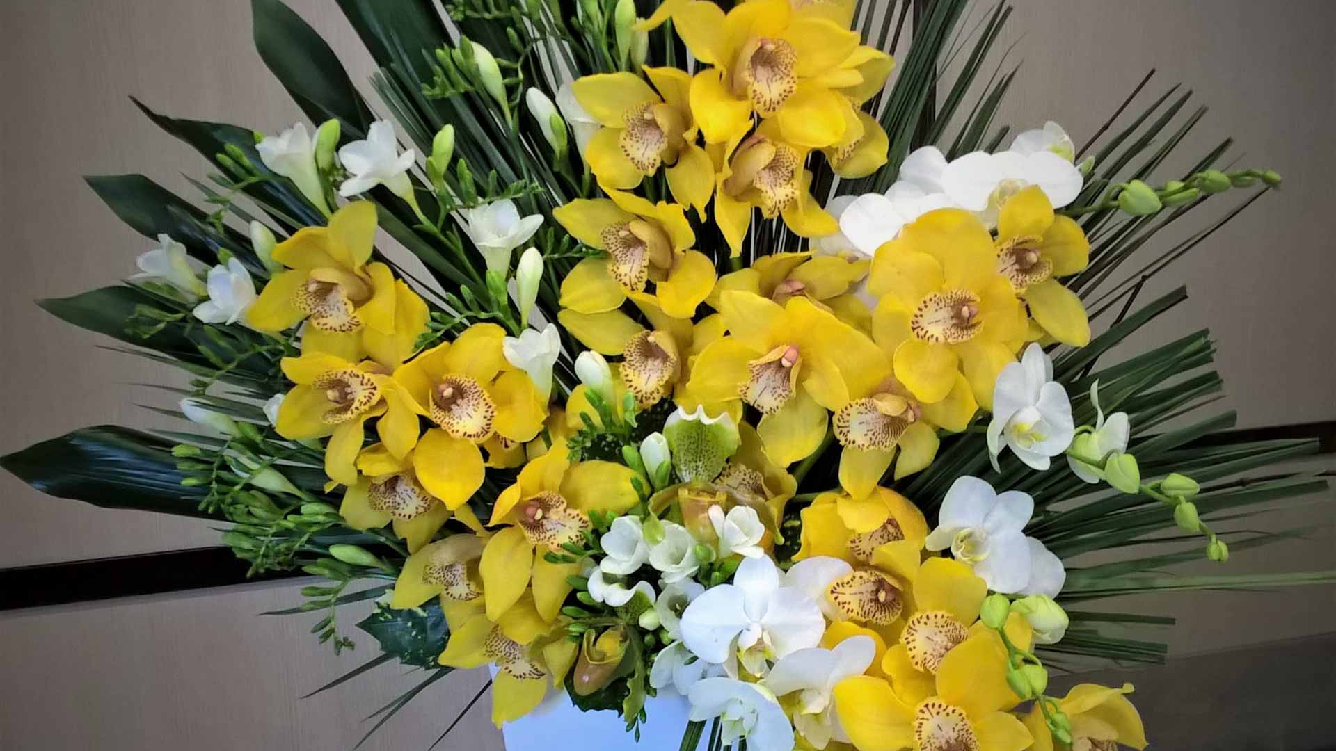 furyufioraiogenova29 Fiori Furyu Genova