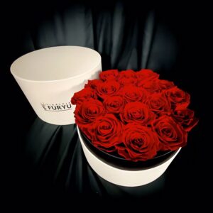 rose stabilizzate red luxury